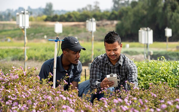 Undergraduate Majors Environmental Sciences Ground Cover in the Field