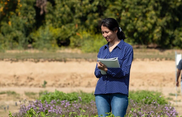 Undergraduate Majors Environmental Sciences Research in the Field