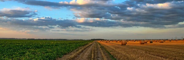 Undergraduate Majors Environmental Sciences Field and Sky