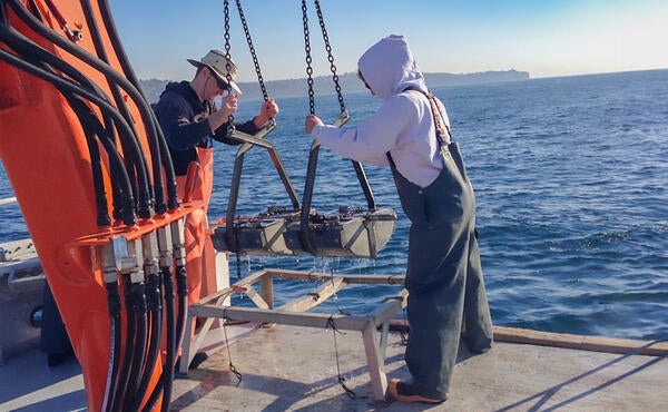 Undergraduate Majors Environmental Sciences Taking Ocean Samples