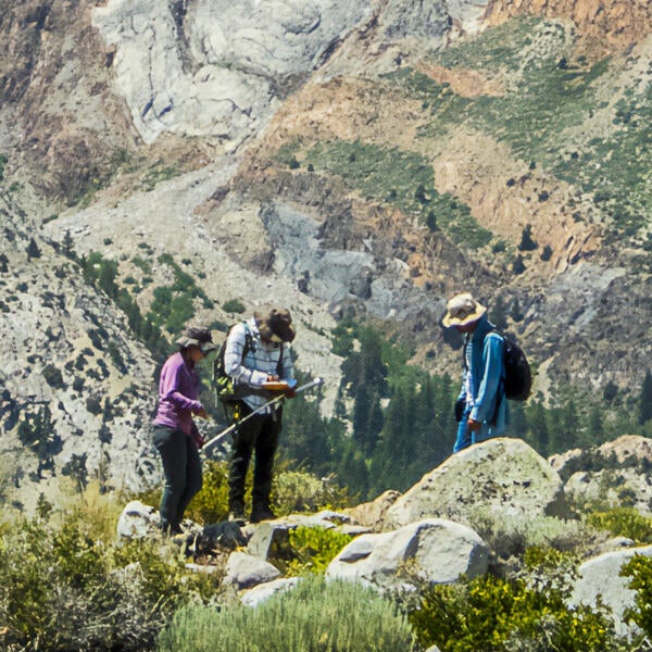 Undergraduate Majors Earth and Planetary Sciences in the field