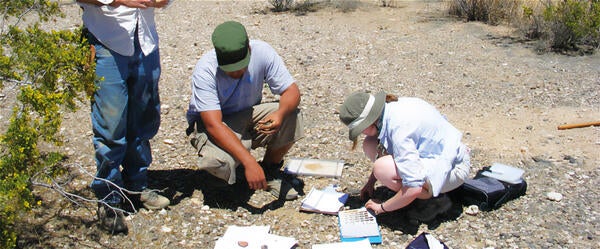 Undergraduate Majors Geology Students in the Desert