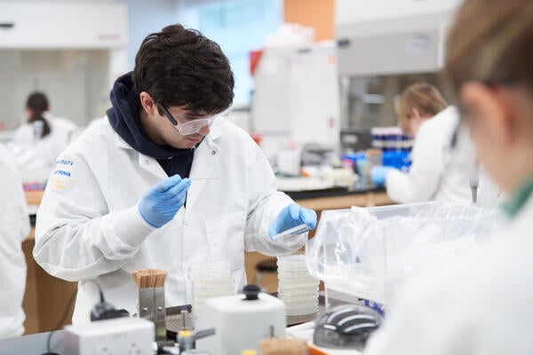 Student in the Genetics and Molecular Biotechnology lab.