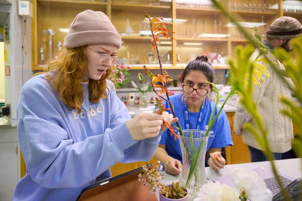 Genetics and Molecular Biotechnology Major - Students looking at plant specimen.