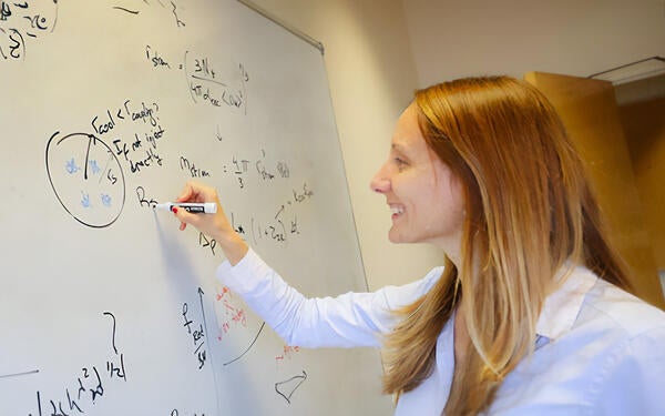Undergraduate Majors Mathematics Laura Sales at Whiteboard