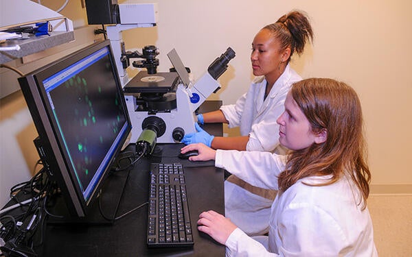 Undergraduate Majors Microbiology Students in Lab