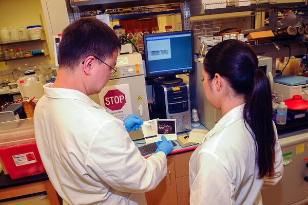 Undergraduate Majors Microbiology Students with Professor in Lab