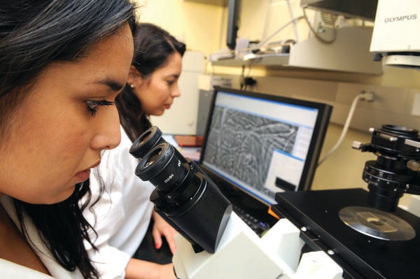 Undergraduate Majors Microbiology Student at Microscope