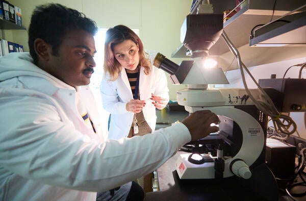 Undergraduate Majors Plant Biology - Researchers at Microscope