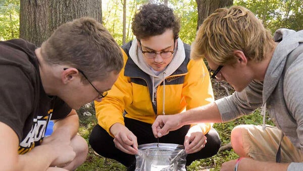 Biology Students Experimenting Outdoors