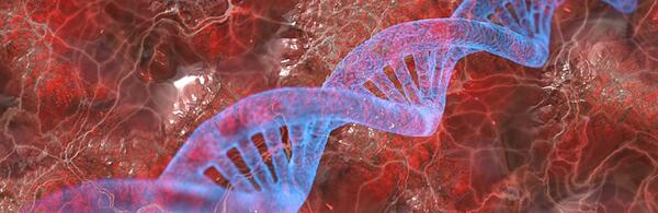ug-majors-biology-dna-4334173_960_720_pixabay