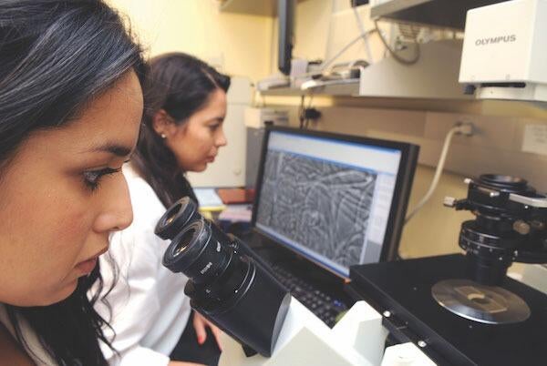 Undergraduate Majors Cell, Molecular, and Developmental Biology Lab