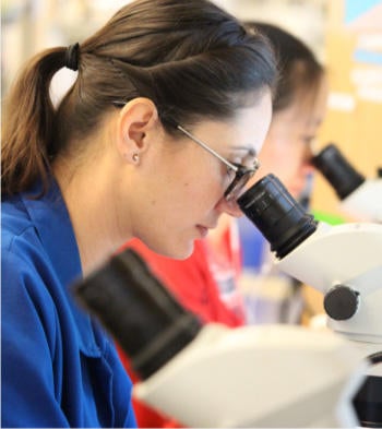 student looking into a microscope