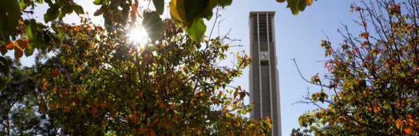 UCR bell tower and trees