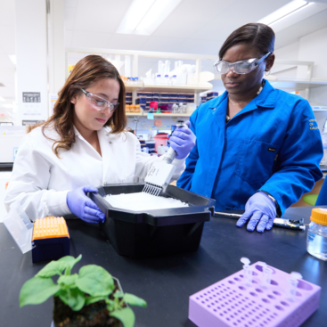 UCR professor Dawn Nagel and student in laboratory