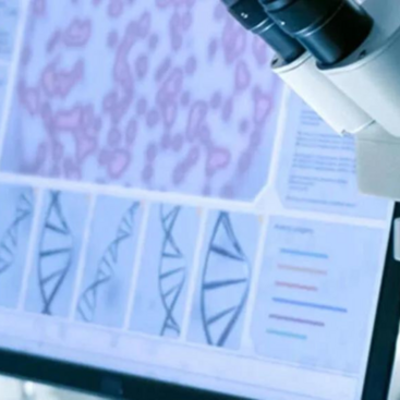 Chemistry structures on a computer with a microscope