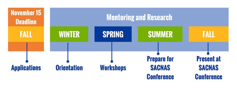 CUSP Scholar Timeline 2020-21