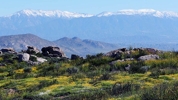 Motte Rimrock UCR Natural Reserve (c) UCR / Stan Lim 2019 Motte Rimrock UCR Natural Reserve (c) UCR / Stan Lim 2019