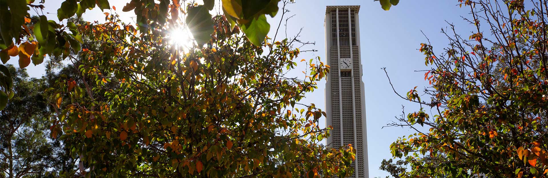 Fall colors, Bell Tower, CNAS Scholarships 2021-2022 (c) UCR/Stan Lim