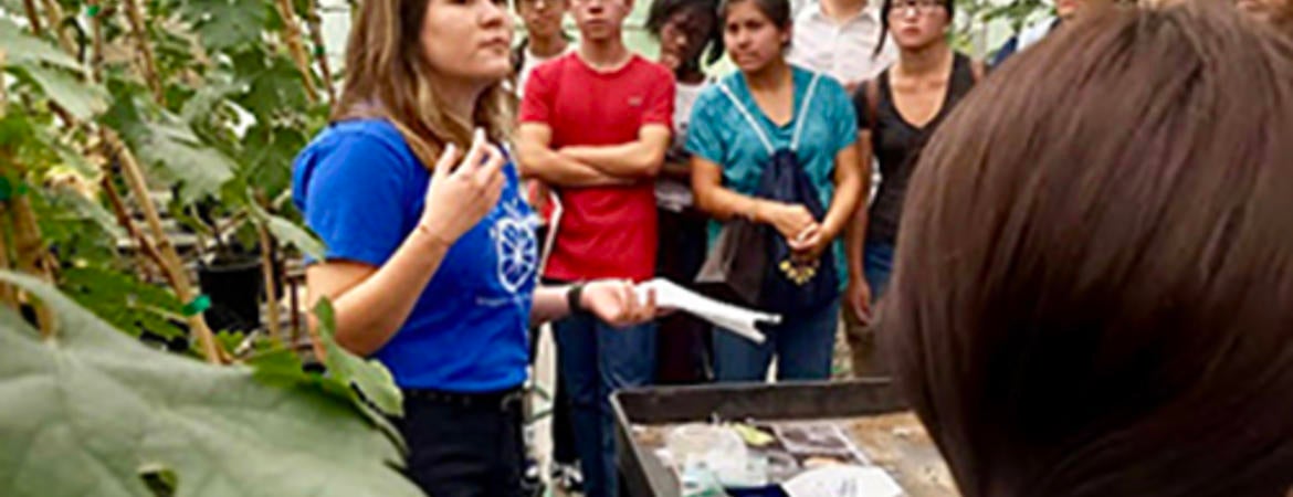 Plant pathology harvard students faculty Plant pathology harvard students faculty