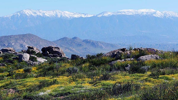 Motte Rimrock UCR Natural Reserve (c) UCR / Stan Lim 2019 Motte Rimrock UCR Natural Reserve (c) UCR / Stan Lim 2019
