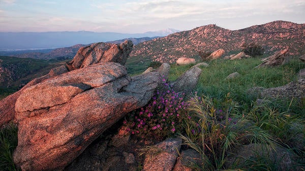 Box Springs UCR Natural Reserve (c) Alpengow Images Box Springs UCR Natural Reserve (c) Alpengow Images