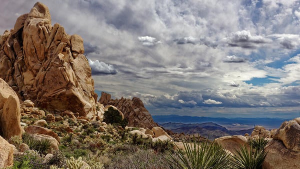Jack and Marilyn Sweeney Granite Mountains UCR Natural Reserve (c) Douglas Stinson Jack and Marilyn Sweeney Granite Mountains UCR Natural Reserve (c) Douglas Stinson