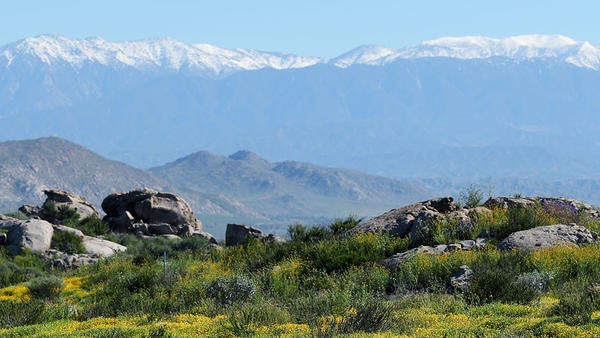 Motte Rimrock UCR Natural Reserve (c) UCR / Stan Lim 2019 Motte Rimrock UCR Natural Rserve (c) UCR / Stan Lim 2019
