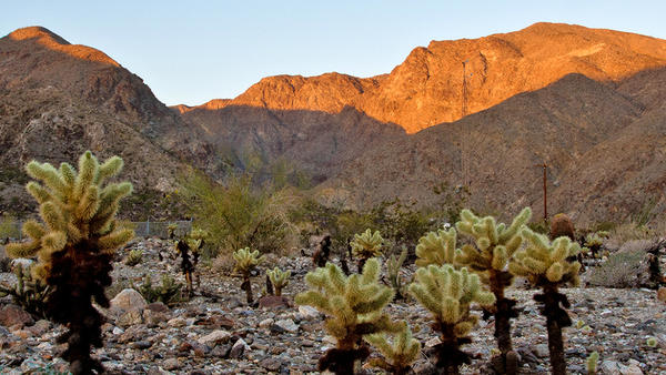 (c) Mark Chapell - Boyd Deep Canyon (c) Mark Chapell - Boyd Deep Canyon