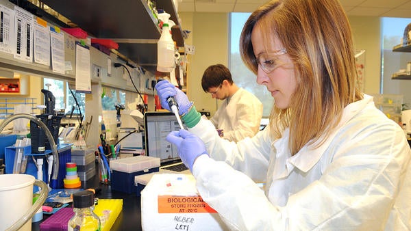 student in Plant Pathology lab (c) UCR / CNAS student in Plant Pathology lab (c) UCR / CNAS