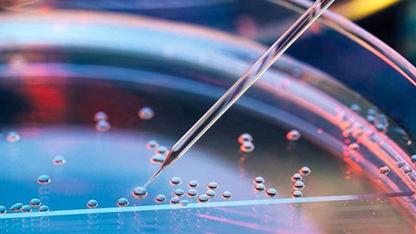 Stem Cell Research image (c) Healthline Stem Cell Research image (c) Healthline