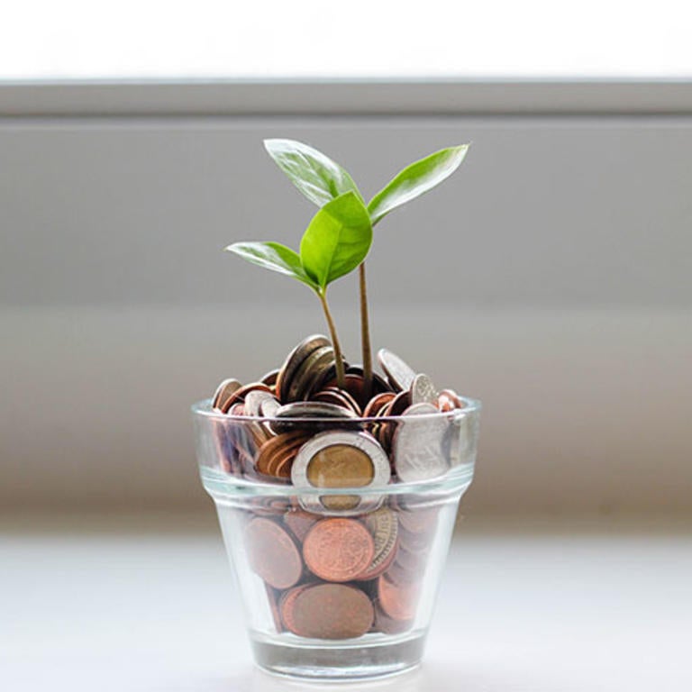 coins and a plant sprout in a glass (c) Micheile SoT4 unsplash