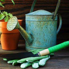 Master Gardener Master Gardener