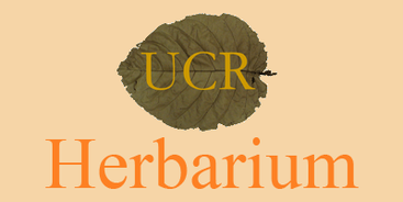 UCR Herbarium
